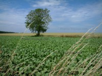 /album/fotogaleria/a123-jpg/